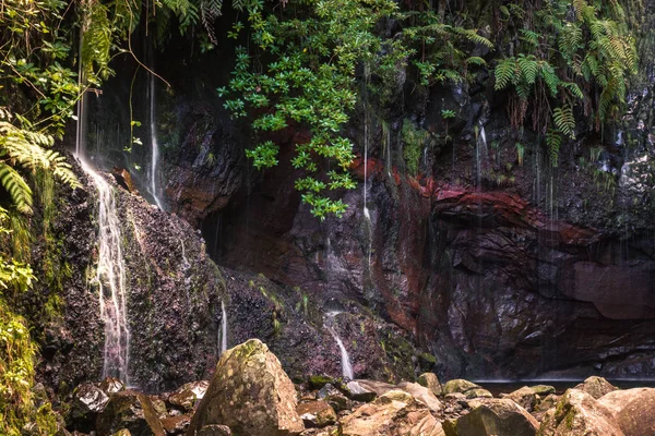 Şelale 25 Fontes Levada Rabacal, Madeira Adası, Portekiz içinde