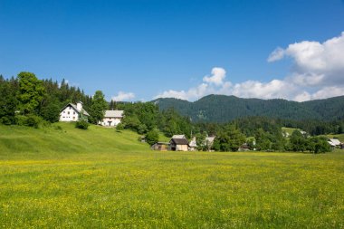 Koprivnik 'teki Meadow Bohinju, Bohinj, Slovenya
