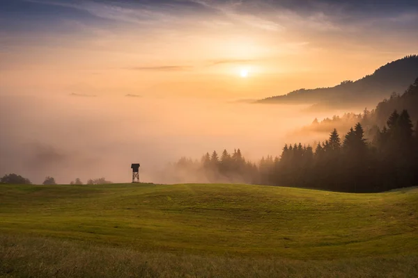 Matin Brumeux Dans Les Alpes Près Skofja Loka Slovénie — Photo