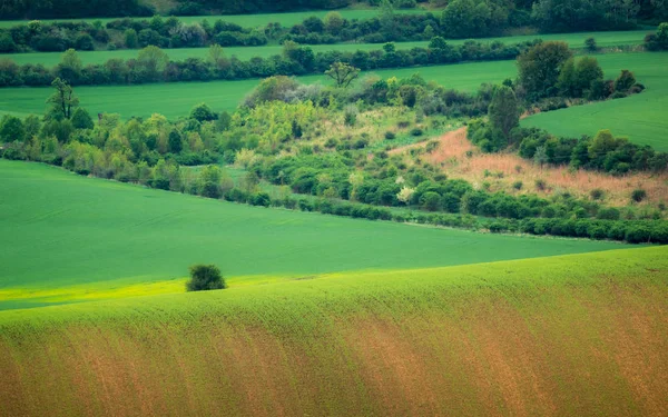 Campi Moravi Vicino Nasedlovice Moravia Repubblica Ceca — Foto Stock