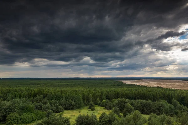 Aşırı büyümüş için tuşları, İstanbul, Polonya Czubatka Hill'de görüldü Bledowska çöl parçası