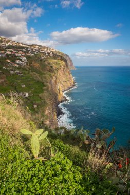 Ribeira Brava Madeira Adası, Portekiz Atlas Okyanusu'nda uçurumdan