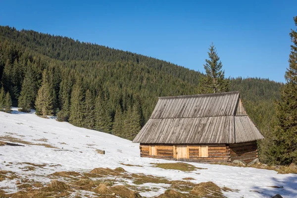 Dřevěná Chata Rusinowa Mýtinu Tatrách Polsko — Stock fotografie