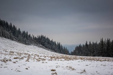 Tatra Dağları'nda Kopieniec glade, kış, İstanbul, Polonya