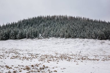 Tatra Dağları'nda Kopieniec glade, kış, İstanbul, Polonya