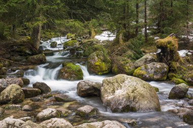 Olczyski akışı Tatra Dağları, İstanbul, Polonya