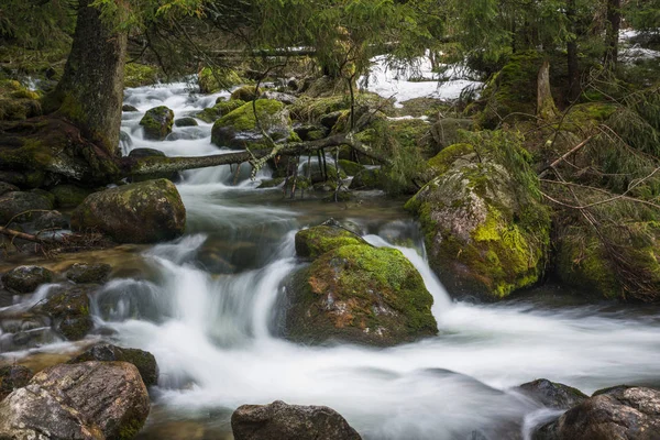 Olczyski akışı Tatra Dağları, İstanbul, Polonya