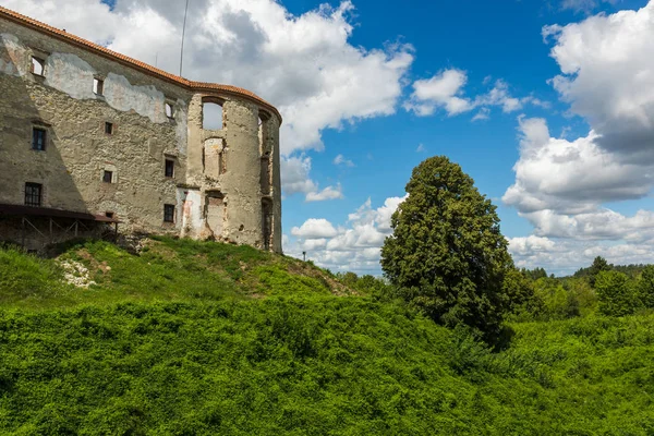 Castello Rinascimentale Janowiec Vicino Kazimierz Dolny Lubelskie Polonia — Foto Stock