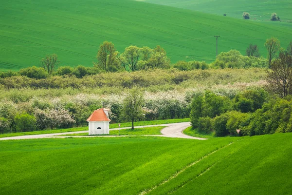 Kaplica Spring Pobliżu Zdislavice Republika Czeska — Zdjęcie stockowe