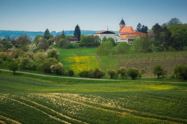 Mährische Felder Frühling Der Nähe Von Littencice Tschechische Republik — Stockfoto