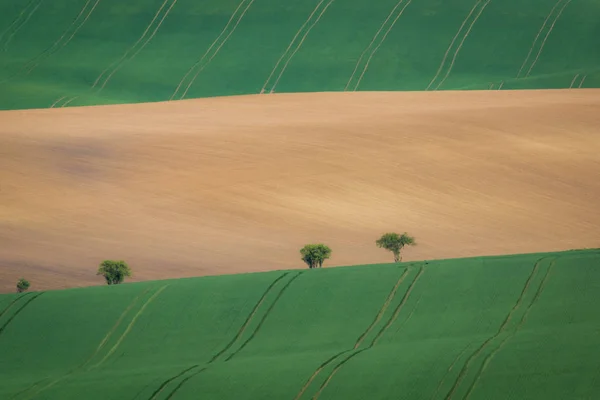 Paisagem Com Campo Kunkovice Morávia Sul República Checa — Fotografia de Stock