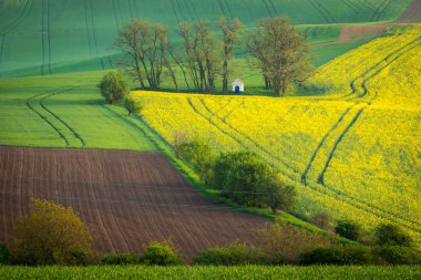 Baharda Moravia, Çek Cumhuriyeti, St. Barbara Şapeli