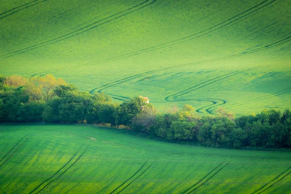 Campos Morávios Primavera Perto Aldeia Kyjov República Checa — Fotografia de Stock