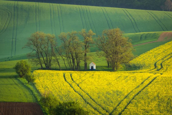 Kapelle Der Barbara Der Quelle Mähren Tschechische Republik — Stockfoto