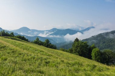 Alp Dağları Drazgose, Carniola, Slovenya yakınındaki çayır