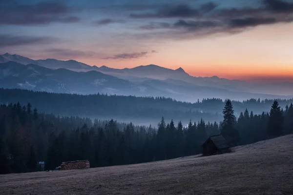 空き地 Glodowka ブコビナ ビャウカ ポーランドのタトラ山脈 — ストック写真