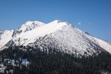 Tatra Dağları, İstanbul, Polonya Gesia Szyja pik üzerinden görüntülemek