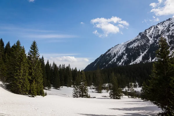 Montañas Tatra Invierno Karpaty Polonia — Foto de Stock