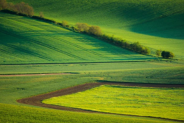 Campos Moravia Cerca Sardice Hodonin República Checa — Foto de Stock