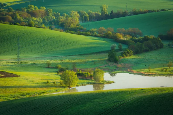 Moravian Fields Sardice Hodonin Czech Republic — Stock Photo, Image