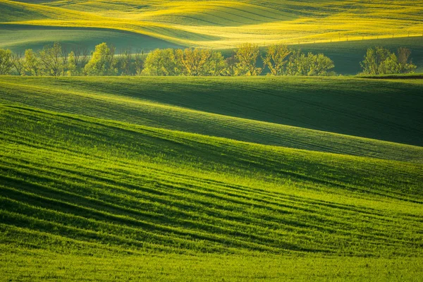 Moravian Fields Sardice Hodonin Czech Republic — Stock Photo, Image