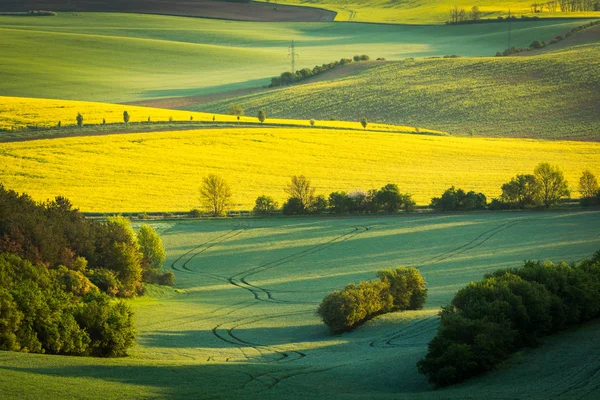 Moravian Sardice Hodonin 捷克共和国附近的田野 — 图库照片