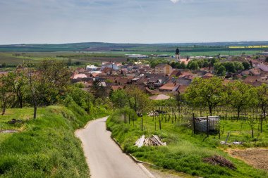 Velke Pavlovice içinde South Moravia, Çek Cumhuriyeti