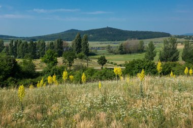 Çayır ve Tihany, Macaristan Balaton Gölü yakınındaki dağ manzara