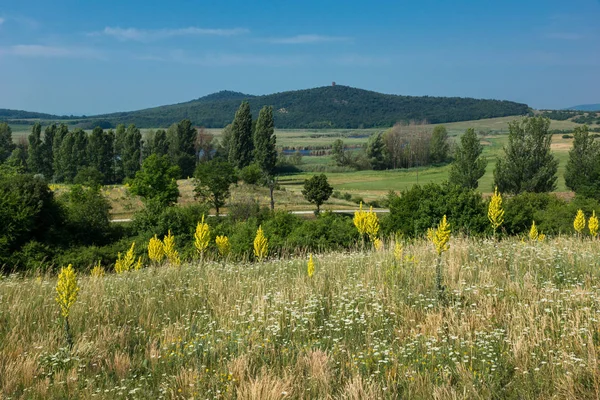 풀밭과 Tihany 헝가리에서 — 스톡 사진