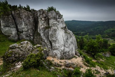 Kalker kayalar doğa rezerv dağ Zborow Jura Krakowsko-Czestochowskiej, Polonya