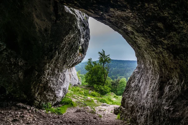 Dağ Zborow içinde Jura Krakowska-Czestochowska Czestochowa, Polonya yakınındaki mağara