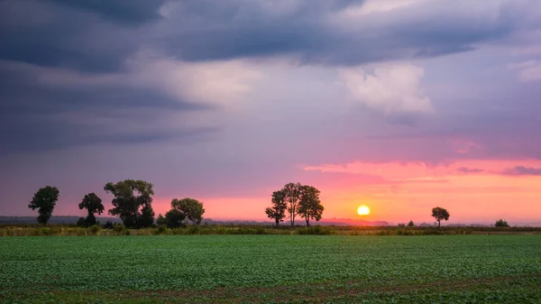 Sunrise bir yerde, Masuria, Polonya