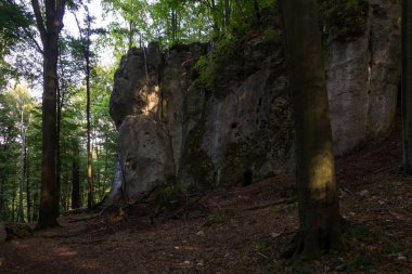 Ostreznik doğa rezerv Jura Krakowsko-Czestochowska, Silesia, Polonya kale Harabeleri