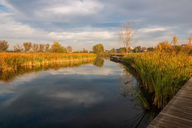Lake Zgorzala bölgesinde Ursynow sonbahar, Varşova, Polonya