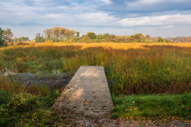 Lake Zgorzala bölgesinde Ursynow sonbahar, Varşova, Polonya
