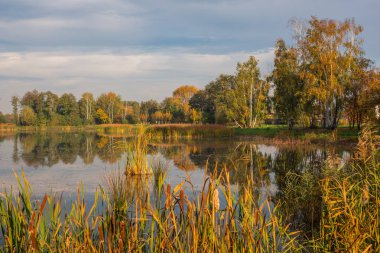 Lake Zgorzala bölgesinde Ursynow sonbahar, Varşova, Polonya