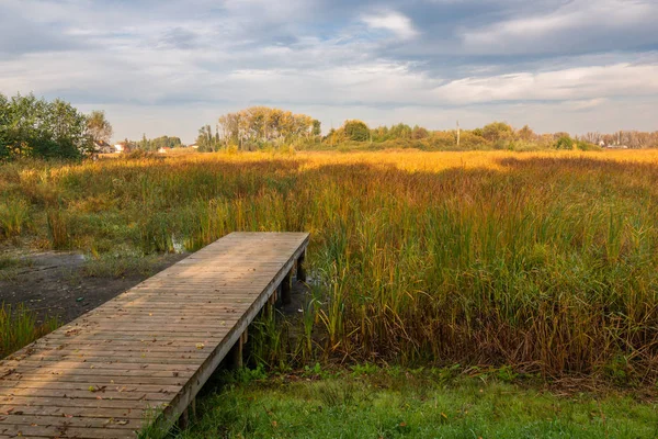 Lake Zgorzala bölgesinde Ursynow sonbahar, Varşova, Polonya