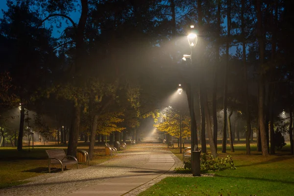 Konstancin Jeziorna, pl, Polonya gece parkta sonbahar sokak