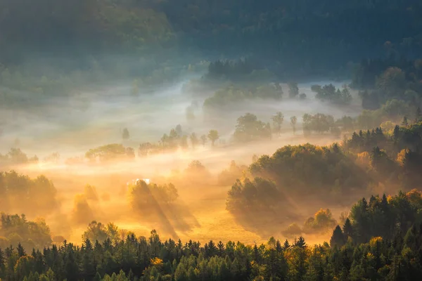 Туманное Утро Рудавы Яновицкие Силезия Польша — стоковое фото