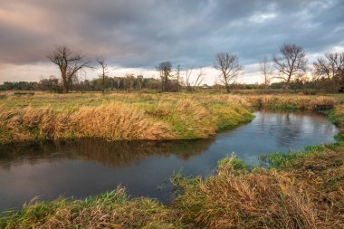Jeziorka Nehri ile clody gün yakın Piaseczno, Masovia, Polonya, manzara