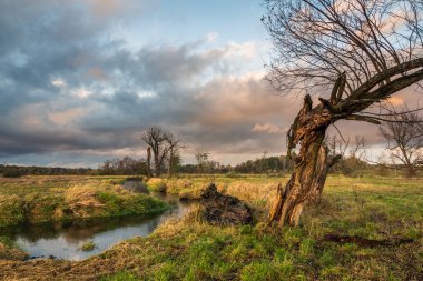 Jeziorka Nehri ile clody gün yakın Piaseczno, Masovia, Polonya, manzara