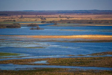 Biebrza Nehri yakınında Goniadz,: Podlaskie, Poland ile manzara