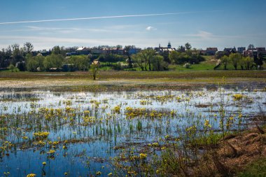 Biebrza Nehri yakınında Goniadz,: Podlaskie, Poland ile manzara