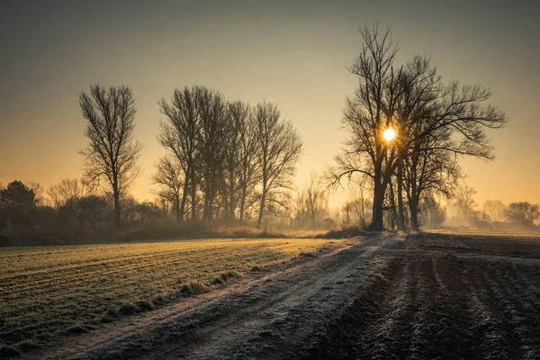 Ανατολή Ηλίου Πάνω Από Δρόμο Ένα Παγωμένο Πρωί — Φωτογραφία Αρχείου