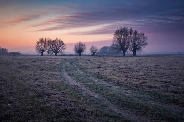 Landschaft Mit Weiden Und Straße Einem Frostigen Morgen — Stockfoto