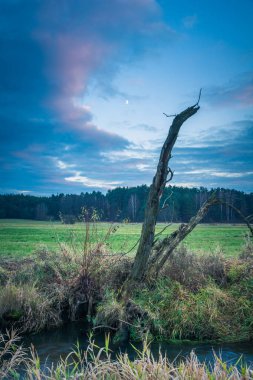 Piaseczno, Masovia, Polonya yakınındaki bulutlu gün ile Jeziorka nehir manzara