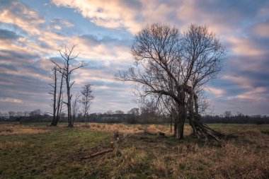 Piaseczno, Masovia, Polonya yakınındaki bulutlu gün ile Jeziorka nehir manzara