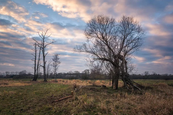 Piaseczno, Masovia, Polonya yakınındaki bulutlu gün ile Jeziorka nehir manzara
