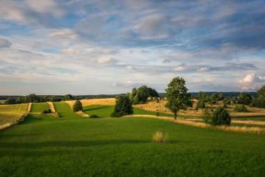 Banie Mazurskie, Masuria, Polonya yakınındaki masurian çayırlar ile manzara