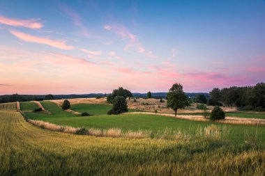 Banie Mazurskie, Masuria, Polonya yakınındaki masurian çayırlar ile manzara